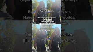 To do list of Idioms...❤️  #linda  #tiktok  #tiktokviral