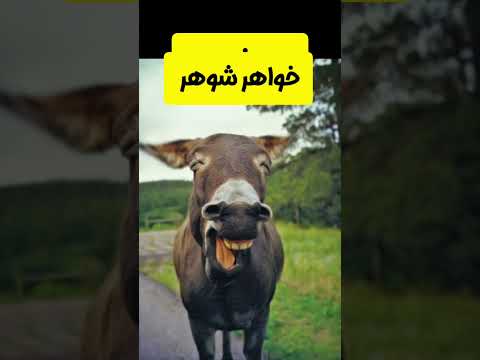 ویدیو معرفی خانواده شوهر مادرشوهر شوخی طنز خندارترین کلیپ Khandebazzar2 شوخی کمدی