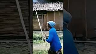 Cewek Ngising Di Marain Nenek Viral Lucu