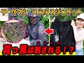 黒い服は蜂に刺される？ワークマンのステルスジャケットでニホンミツバチ の巣箱を継箱をしてみた！