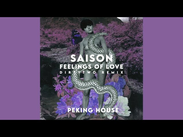 Saison - Feelings Of Love (Dirtytwo Remix)