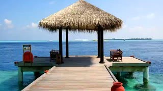 Freediving In Maldives 2016