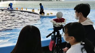 入院中の子どもたちが四国水族館をリモート見学　大学生がロボット運び　香川