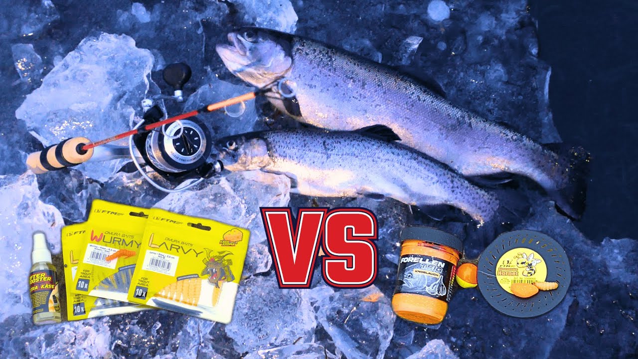 Larvy vs. Bienenmade und Paste ❄️🎣 – Das Köderduell beim Eisangeln auf Forelle / Forellenangeln