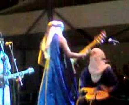 il concerto dei Tinariwen