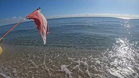 Solo dive in a place that doesn’t show up on maps ReefRangerSCUBA