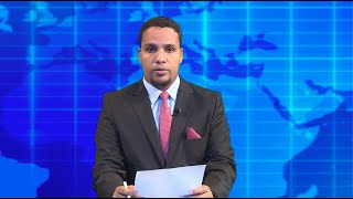 Warka Universal TV 20 12 2022