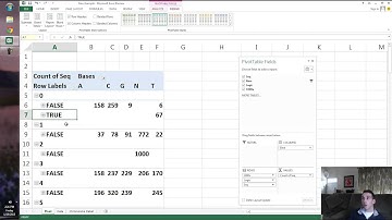 Human Genome Analysis in Excel