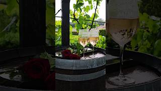 Rosé Day at Mimi Castle💗🥂🌧#moldova #castelmimi #roseday #mimicastle #wine #rose #rosé #fyp