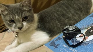 Yup still Cici dan Bibi yang masih pada kecik kecik