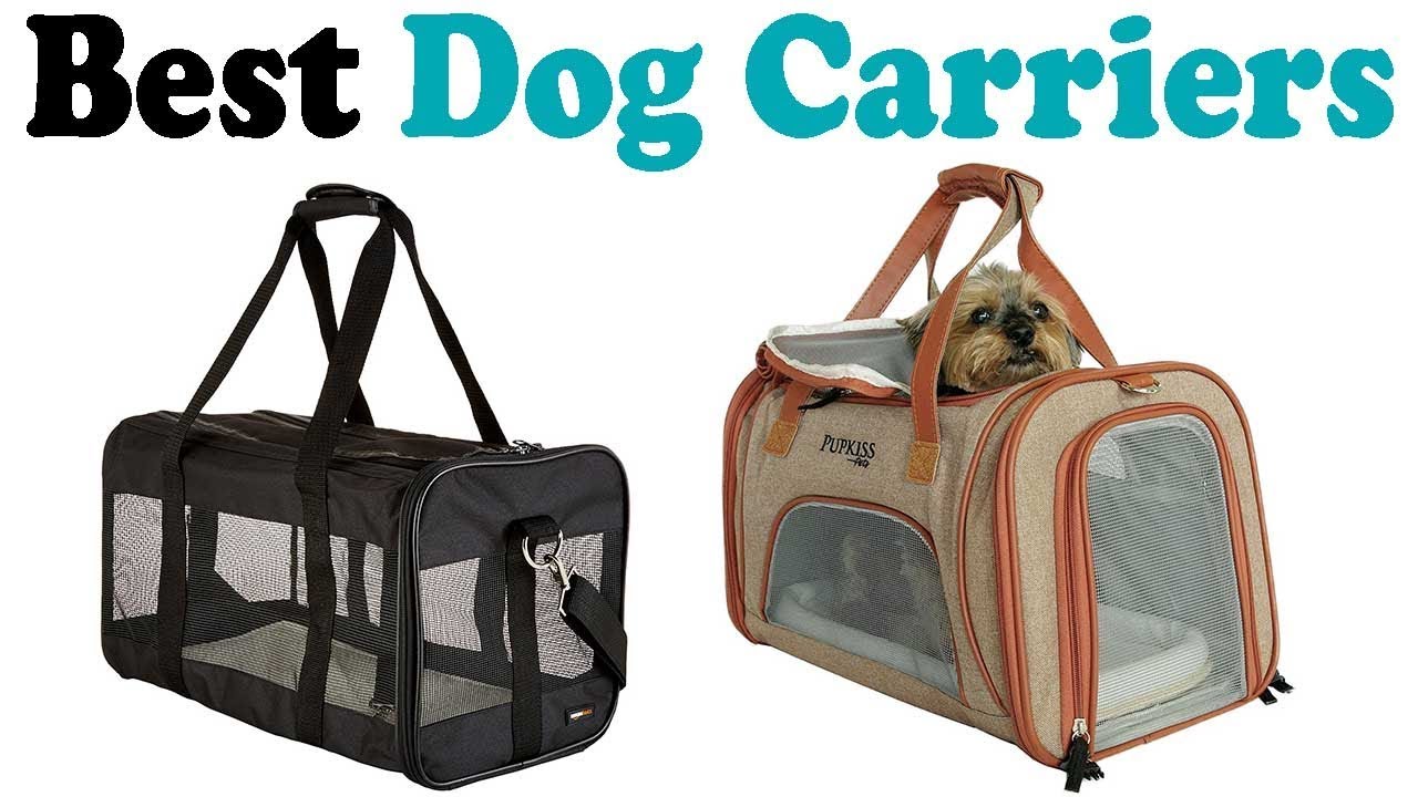 6 Best Dog Carriers 2018 Dog Carriers Reviews YouTube