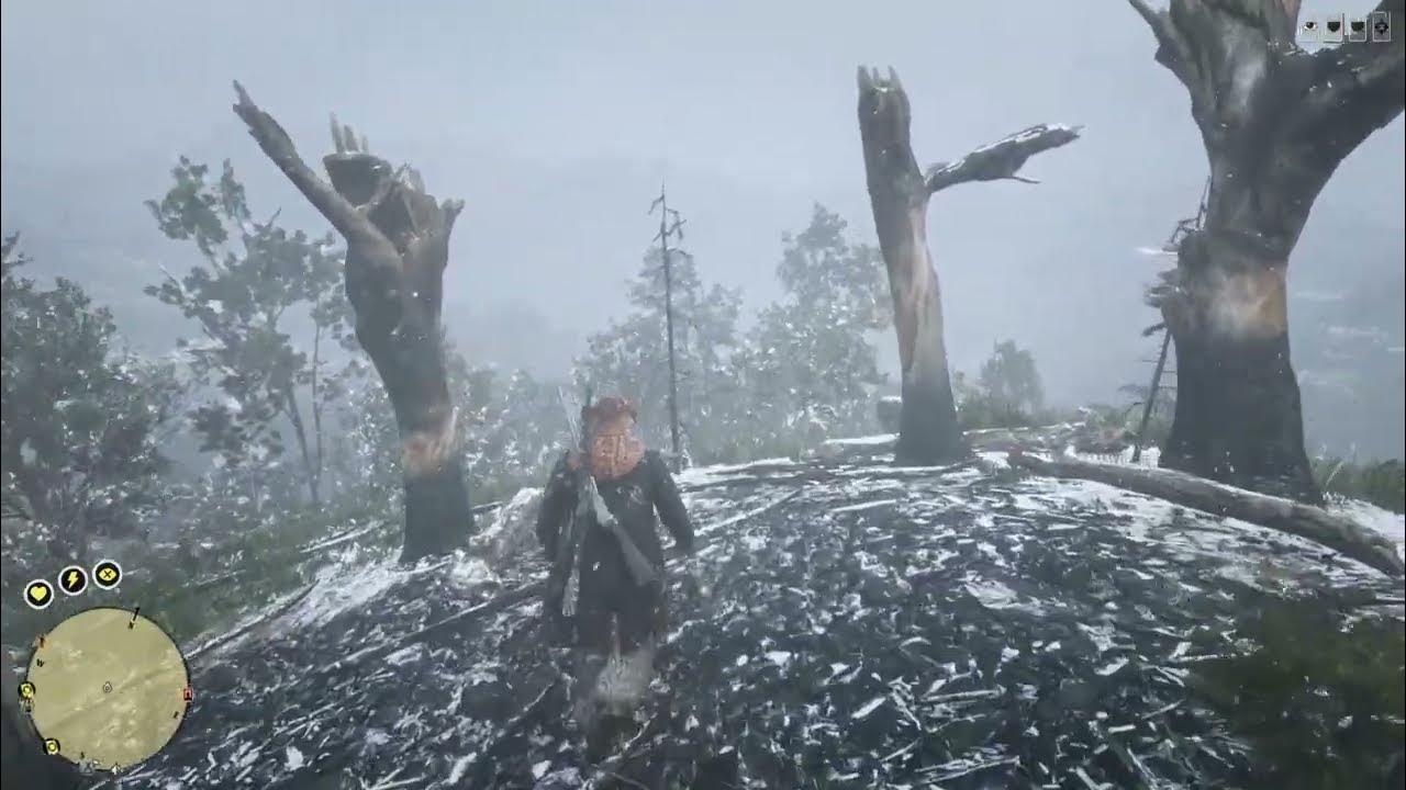 RDR2 ONLINE Collector’s Map Coins 3 locations quickly. Daily