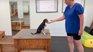 Bookher 12 Weeks Sd 480P