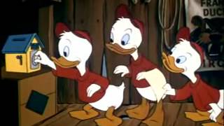 Donald Duck 1949 Donalds Happy Birthday Youtube