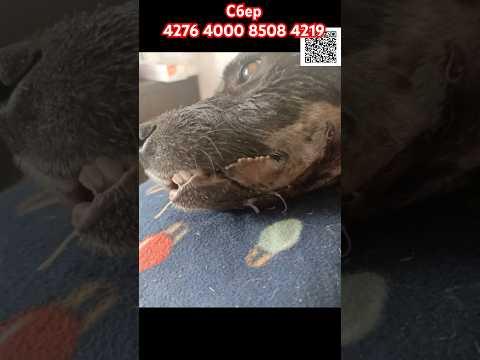 Невыносимые мучения закончились