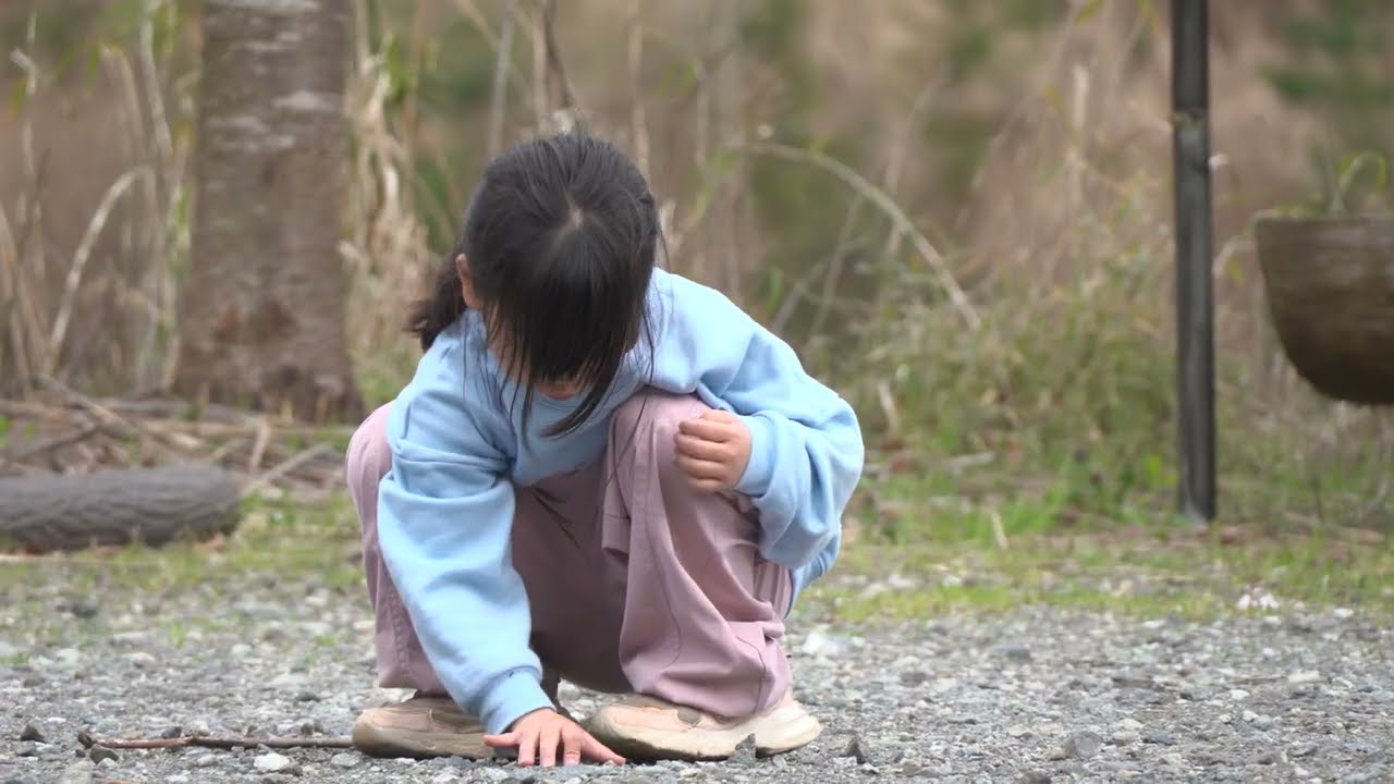 PXW-Z200サンプル動画【石ころを投げるみーたん】