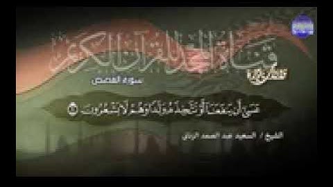 الشيخ السعيدعبدالصمد الزناتي سورة القصص