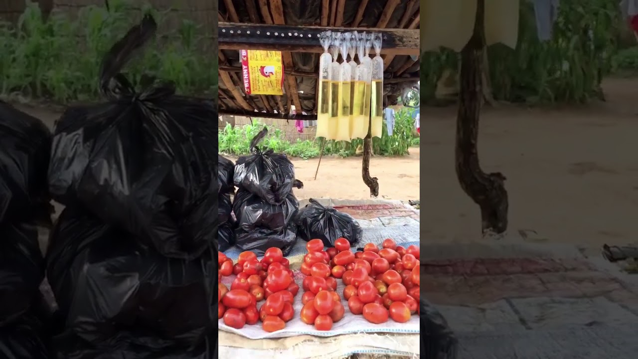Como é vendido o Óleo Vegetal Em Moçambique? 🇲🇿 Short