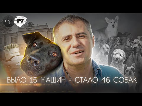 Видео: 16 собак, которые просто не могут даже прямо сейчас