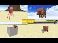 34 NAJDZIWNIEJSZE STWORZENIA W MINECRAFT!