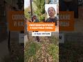 ЗАБОР «ОТЛЕТЕЛ ОТ ГРАНИЦЫ УЧАСТКА в Подмосковье #геодезия #кадастр #стройка