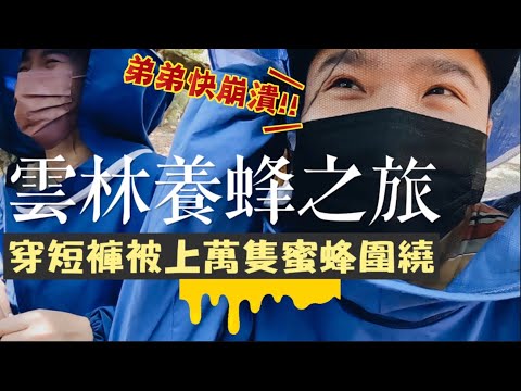 【養蜂之旅】短褲上陣採蜜！數萬隻蜜蜂驚險圍繞！How to harvest Honey? ft.麥當勞McCafé