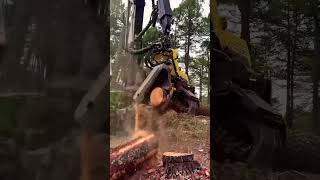 This Machine Eats Entire Trees in Seconds