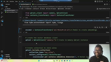 RAG (Retrieval Augmented Generation) with Qdrant and LLM running locally