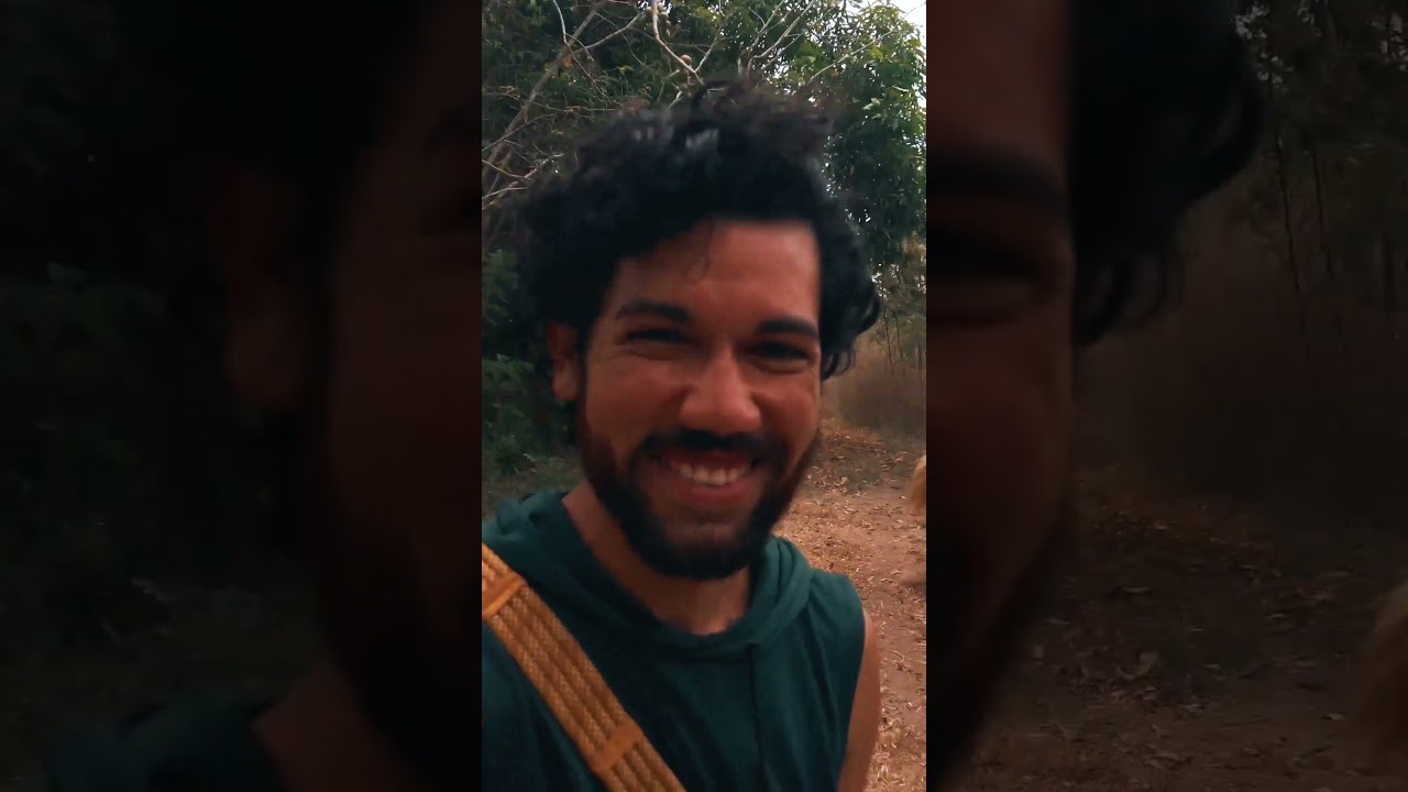 🐴 Meet the Herd of Happy Horses at Horse Spirit Healing in Costa Rica 🇨🇷