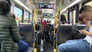 CTA Bus Ride: 2024 NovaBus LFS on Route 62 Archer from California to 33rd Place 8732