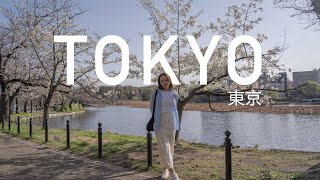 Cherry Blossoms in Tokyo: Ueno Park, Shinjuku Gardens, Meguro River, Late Night Ramen vlog