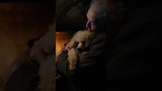 Crackling Fire Deep Work ⏳❄️ — Gentle Calm | ambient warmth for home productivity