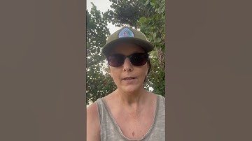 10/24/2022 Weekly Check In: powerful questions to plans and reflect on the week ahead