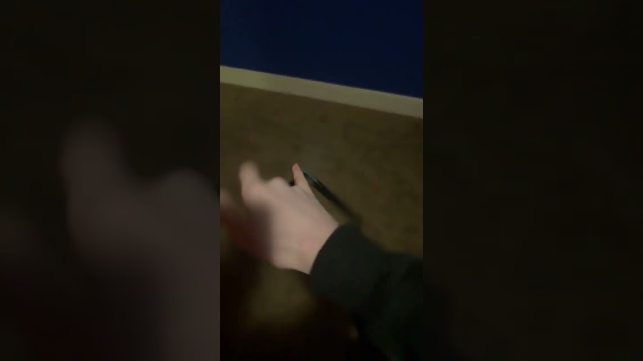 Flipping my talisong Z trainer