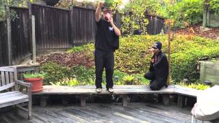 EEB 100 UCLA Crow Kleptoparasitism