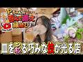 【飲食店数珠繋ぎ企画】極上の益田産の魚で乾杯！【益田市／魚菜ダイニングにわのき】