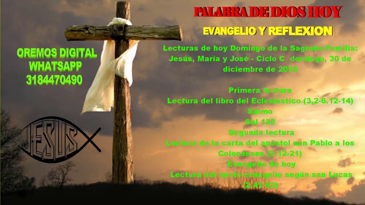 EVANGELIO Y REFLEXIÓN DE HOY DOMINGO 30 DE DICIEMBRE DEL