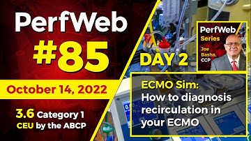 PerfWeb 85 - Day 2 - How to diagnosis recirculation in your ECMO circuit. Simulation