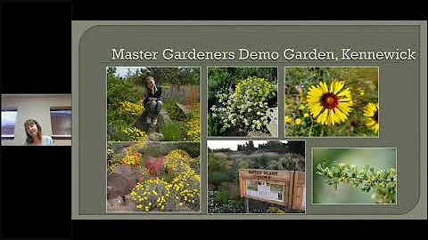 Heritage Gardens  Water Smart Landscaping Heather ...
