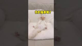 【獨生子的日常】老二：奇了个怪 明明闻到香味了呀 ？