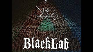 Обложка BlackLab The Dope Dark Roaring Noise Assault Split EP 2017 Скачать BlackLab The Dope Dark Roaring Noise Assault Split EP 2017