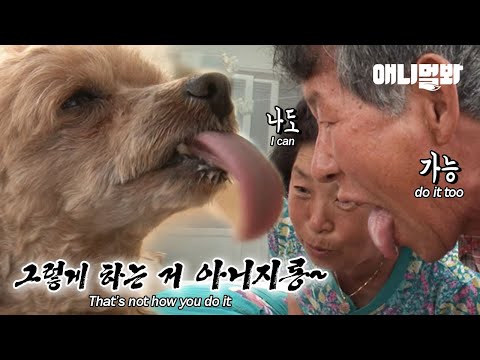 강아지와 <strong>혀마중</strong> 대결중인 남자.. 왜 이러는걸까요ㅣDog Sticks Her Tongue Out 85 Times Per 1 Min