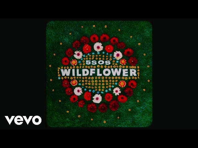 Wildflower 5 Seconds Of Summer 歌词 中文翻译