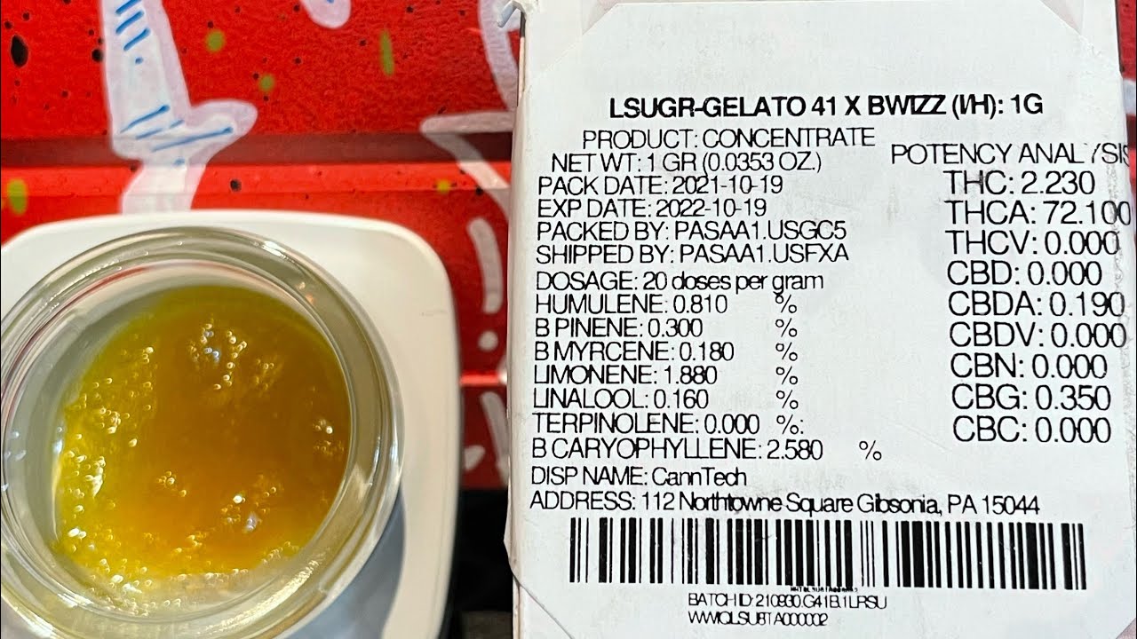 INSA GELATO X BWIZZ & BIKER OG LIVE SUGERS