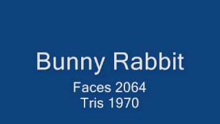 Rabbit.wmv