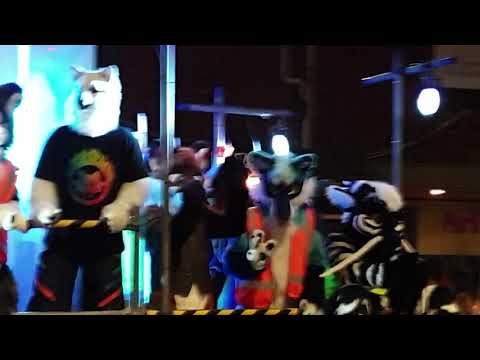 Furries at the Sydney Mardi Gras (2020) HQ Furries at the Sydney Mardi Gras (2020) HQ