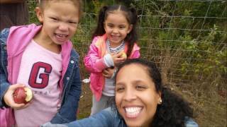 Hanks Pumpkintown October 2016
