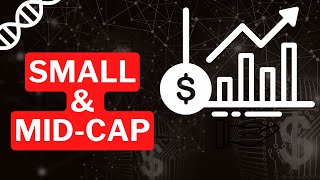 Should You Buy Small & Mid-Cap Stocks?