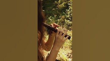 Thumbnail of Concerning Hobbits | Shire Theme on "Falcon" Forest Flute | Native American Flute Scale| 432 Hz
