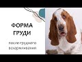 ОБВИСЛА ГРУДЬ из-за кормления. Молочный вопрос 6